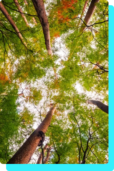 Pós-Graduação em Educação Especial: Uma chance de fazer a diferença